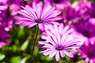 Konami确认小岛没有参与开发《合金装备3：重制版》